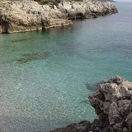 Pula 19