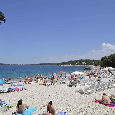 Pula 19 *